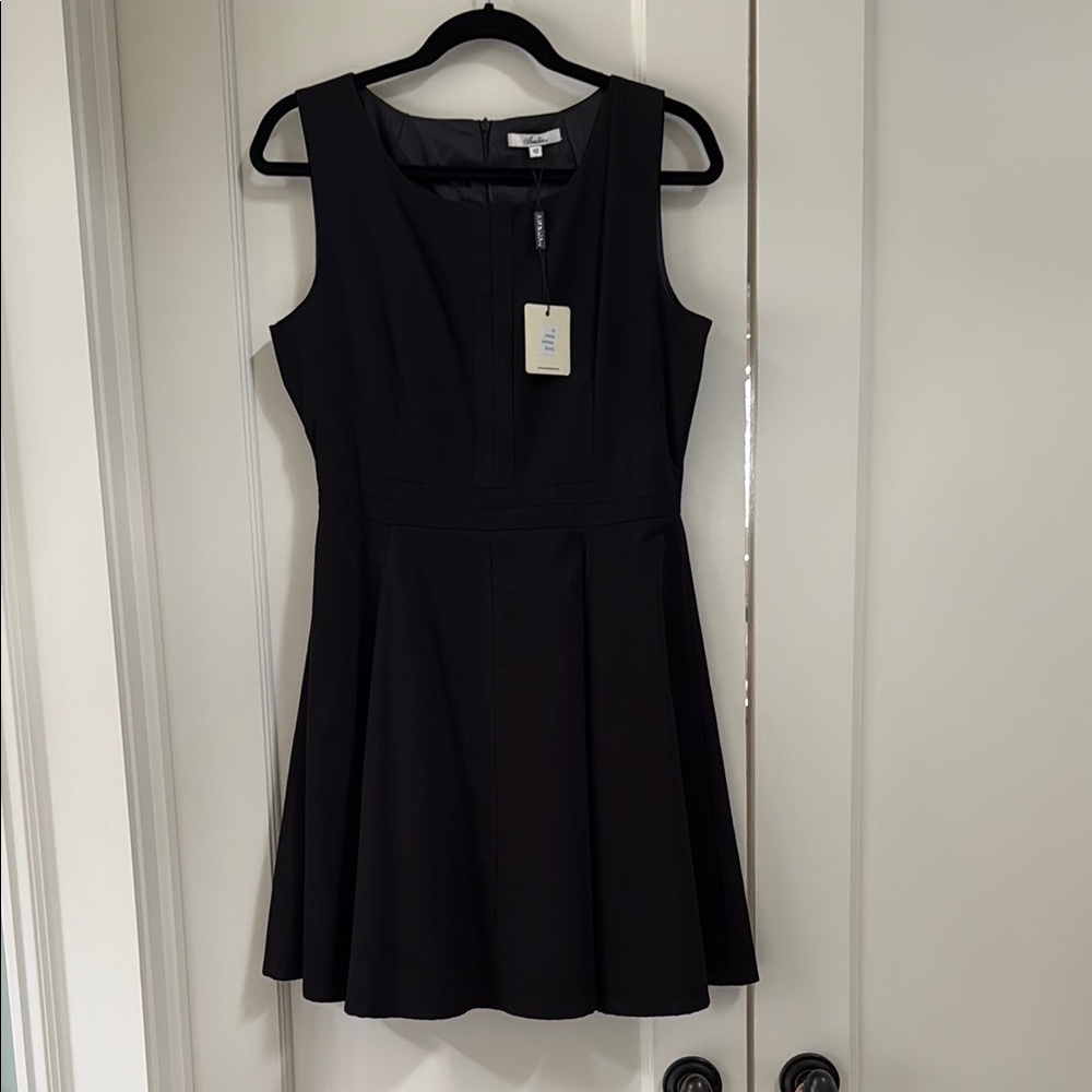 Elegant Black Amelia NY Sleeveless Dress NWT Size 10